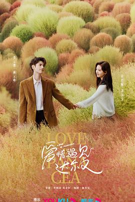 小型网站自动优化软件